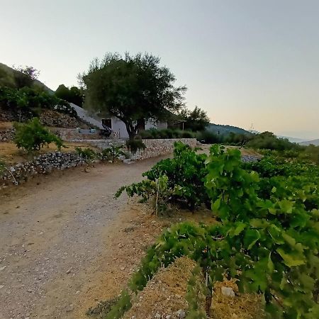 Οίνου Γη Ιθάκη - Winelandithaca Villa Perachori Eksteriør bilde